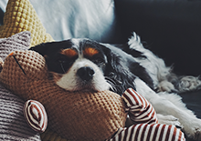 Cosy home