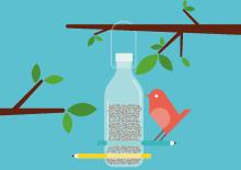 Build a bottle bird feeder