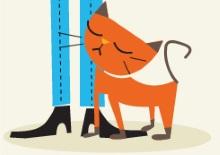 Understanding your cat
