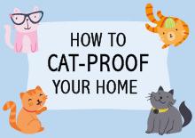 Cat Proof Your Home