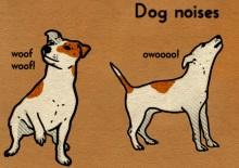 Dog behaviours explained