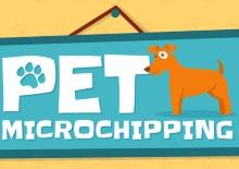 A visual guide to pet microchipping