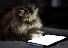 The best high-tech pet gadgets