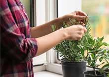 Develop the savings habit of a lifetime