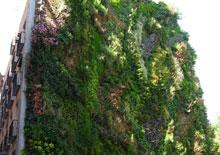Five fabulous vertical gardens