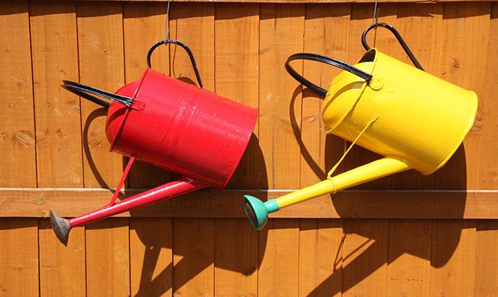 Red and yellow watering cans