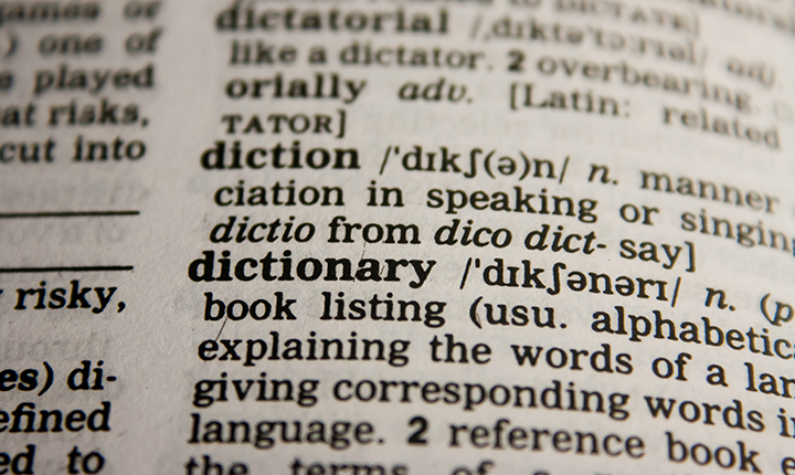 dictionary page