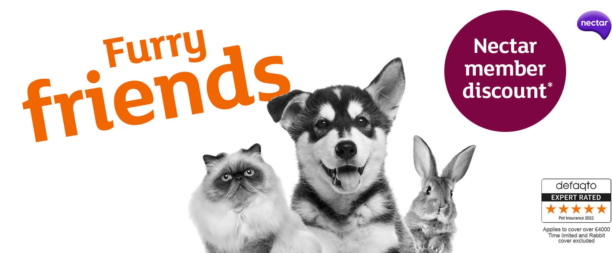 Pet Insurance Get a Quote & Compare Sainsbury’s Bank