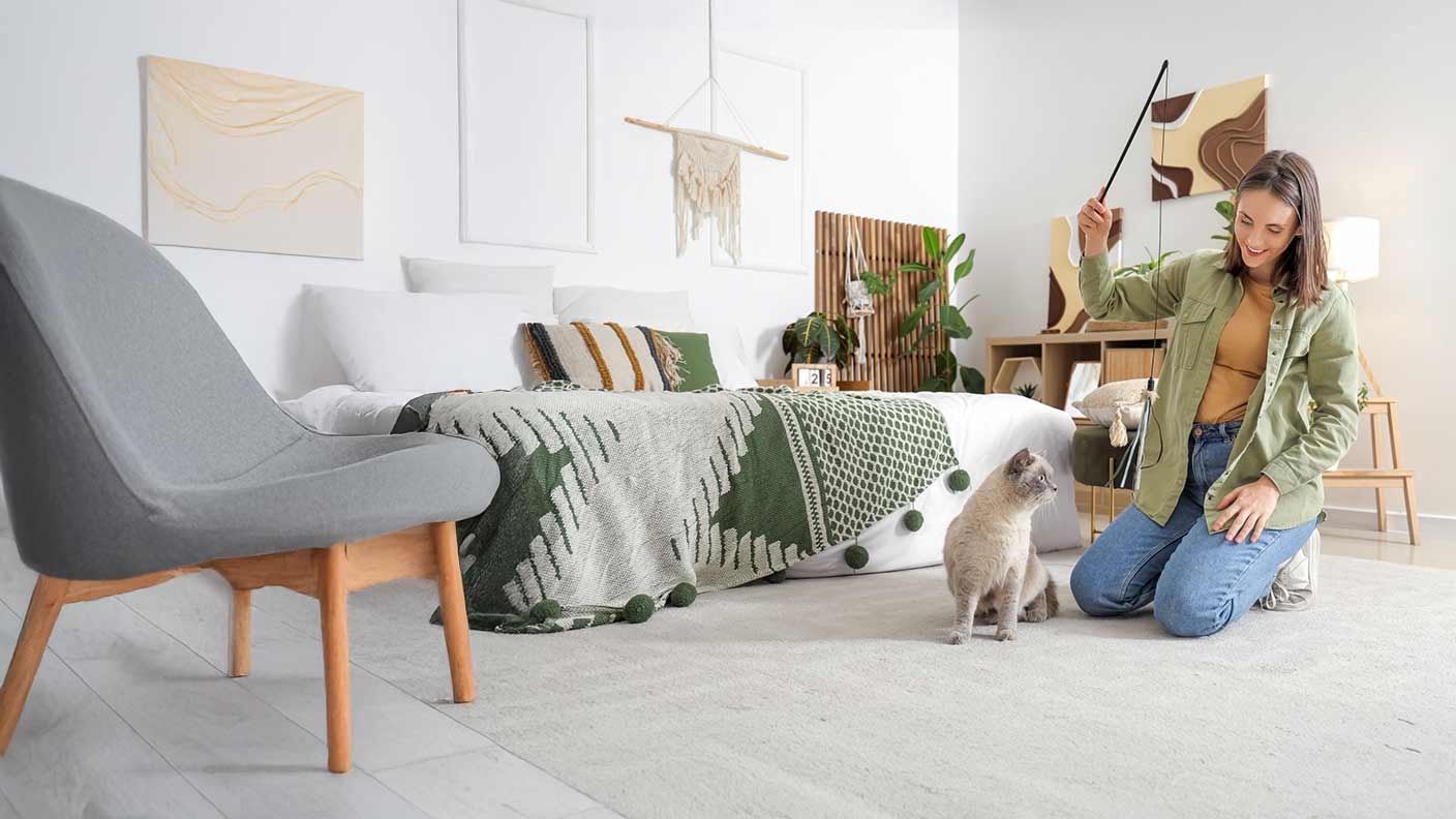 How to look after your cat