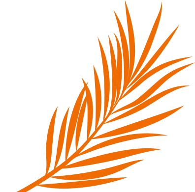 Palm Leaf