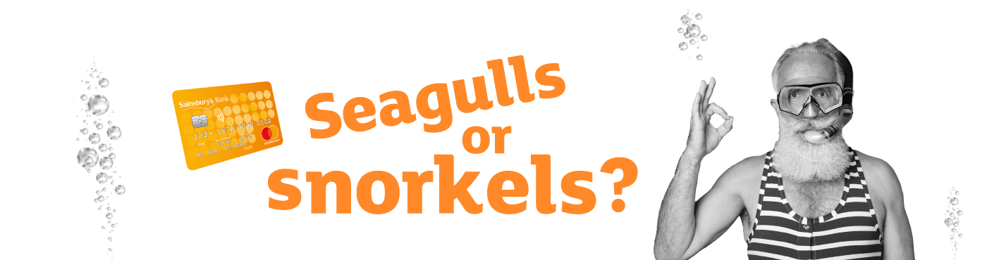 Seagulls or snorkels