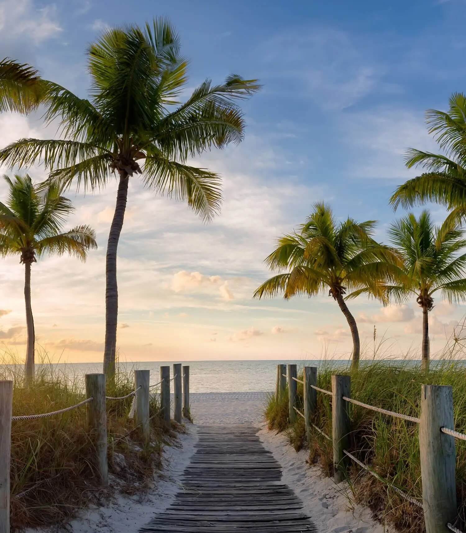 An image of a boarded path lined with palm trees heading to a beachfront.