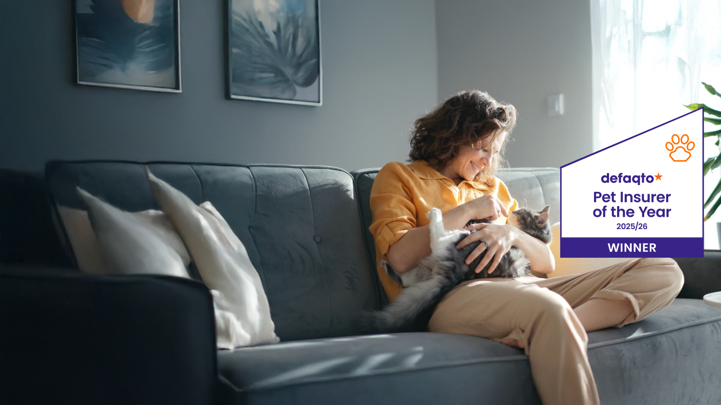 Person with cat