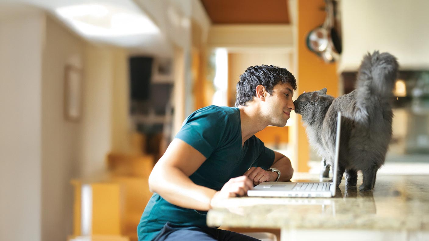 Save up to £310 with our pet insurance