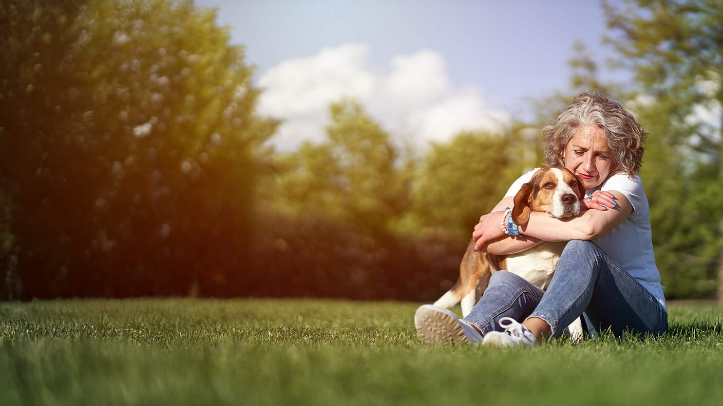 Are older dogs more expensivE