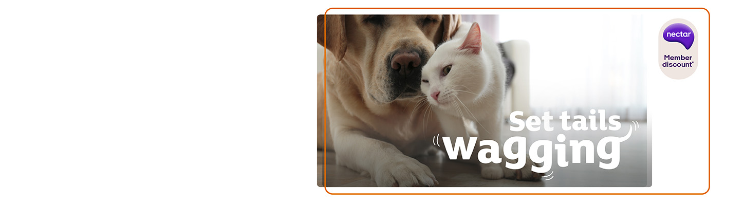 Pet Insurance Customer Support