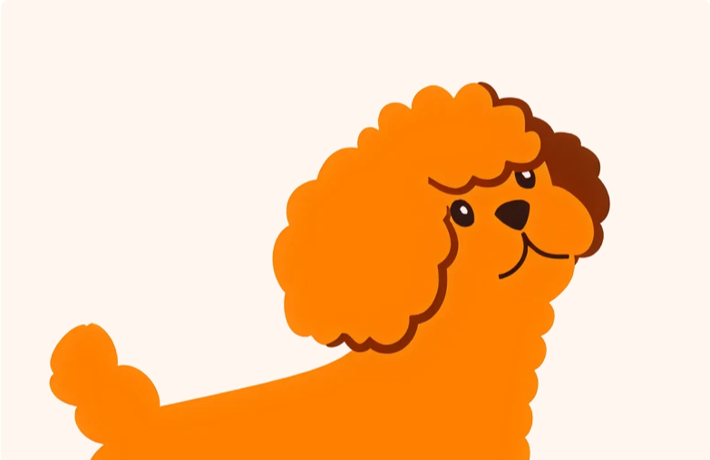 Drawing of a Cavapoo dog