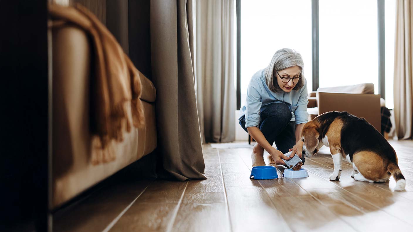 Senior Dog Feeding Guide 