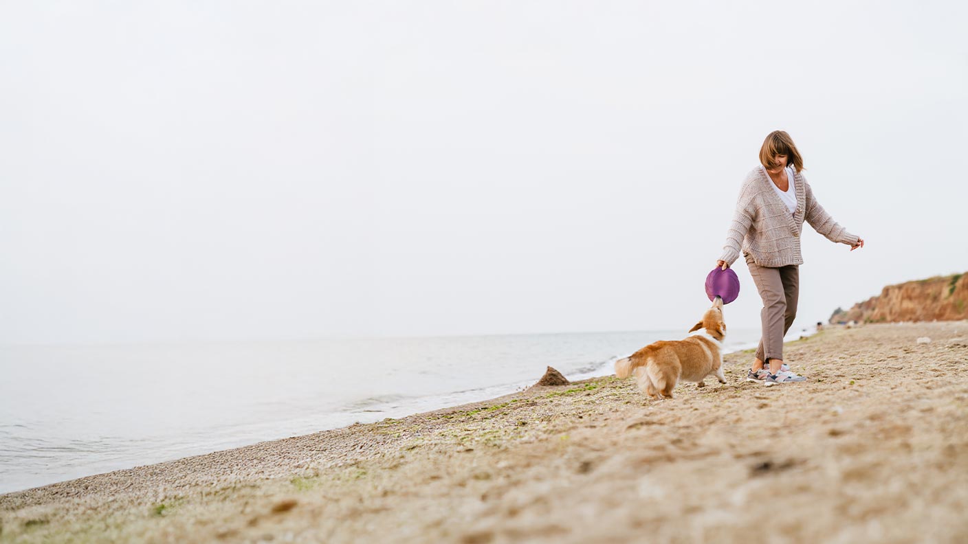 Behaviour problems in older dogs