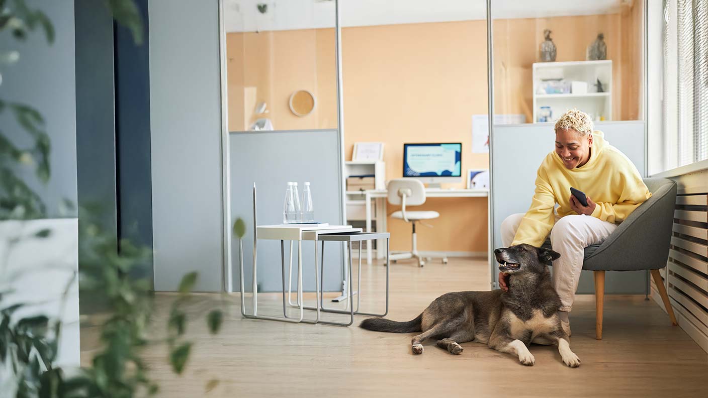  Dog vaccinations