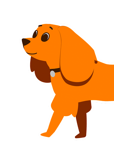 Lifetime pet insurance Lifetime pet insurance