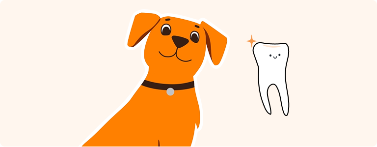 Drawing of a dog with a tooth next to it