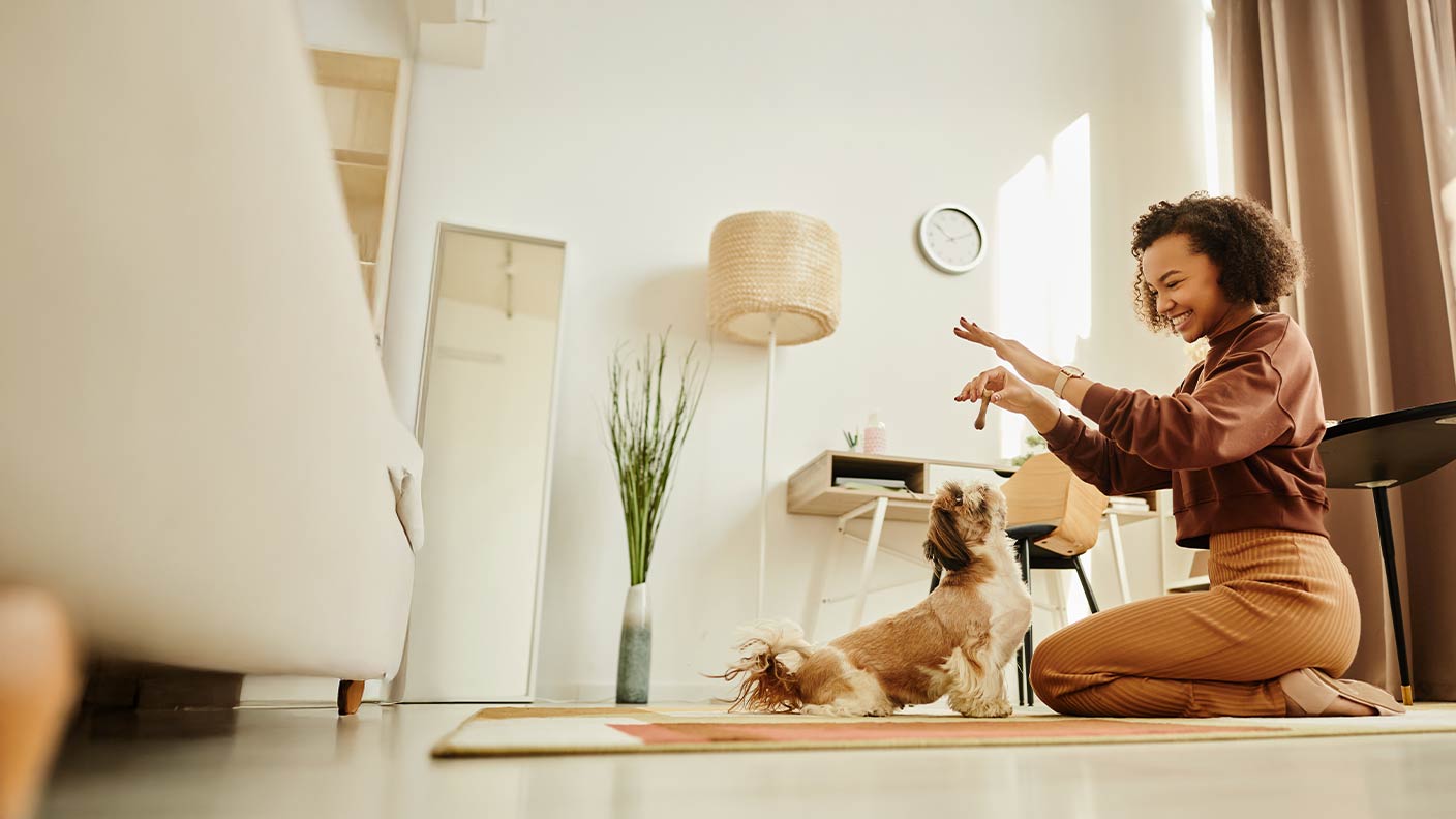 How to train dogs and puppies
