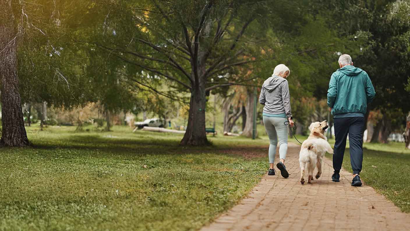 Exercise Tips for Older Dogs 