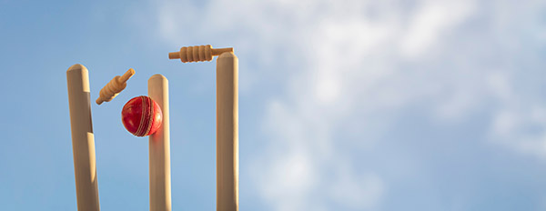 blue skies with two wooden wickets and a red cricket ball