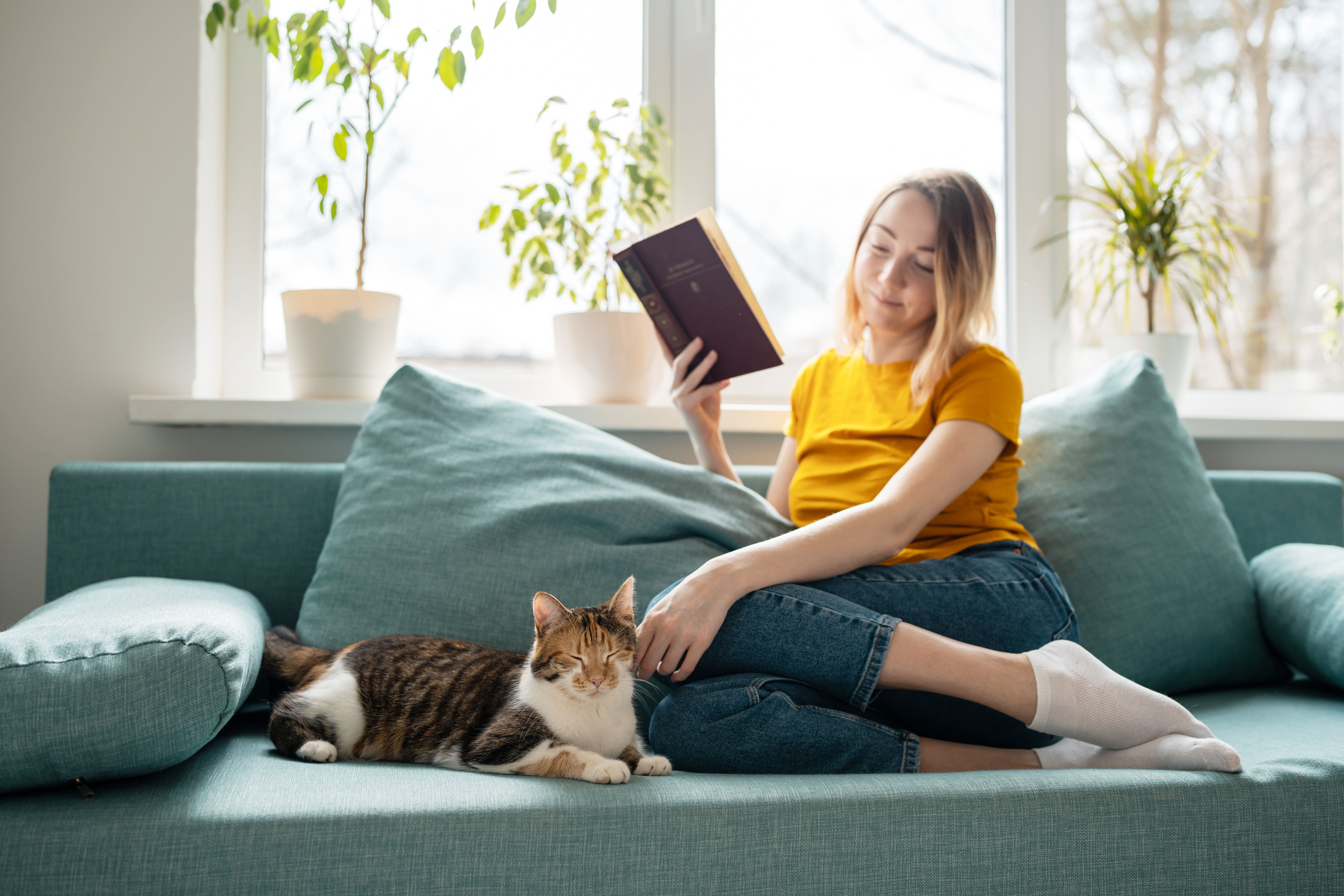 Cat on sofa with lady reading a book