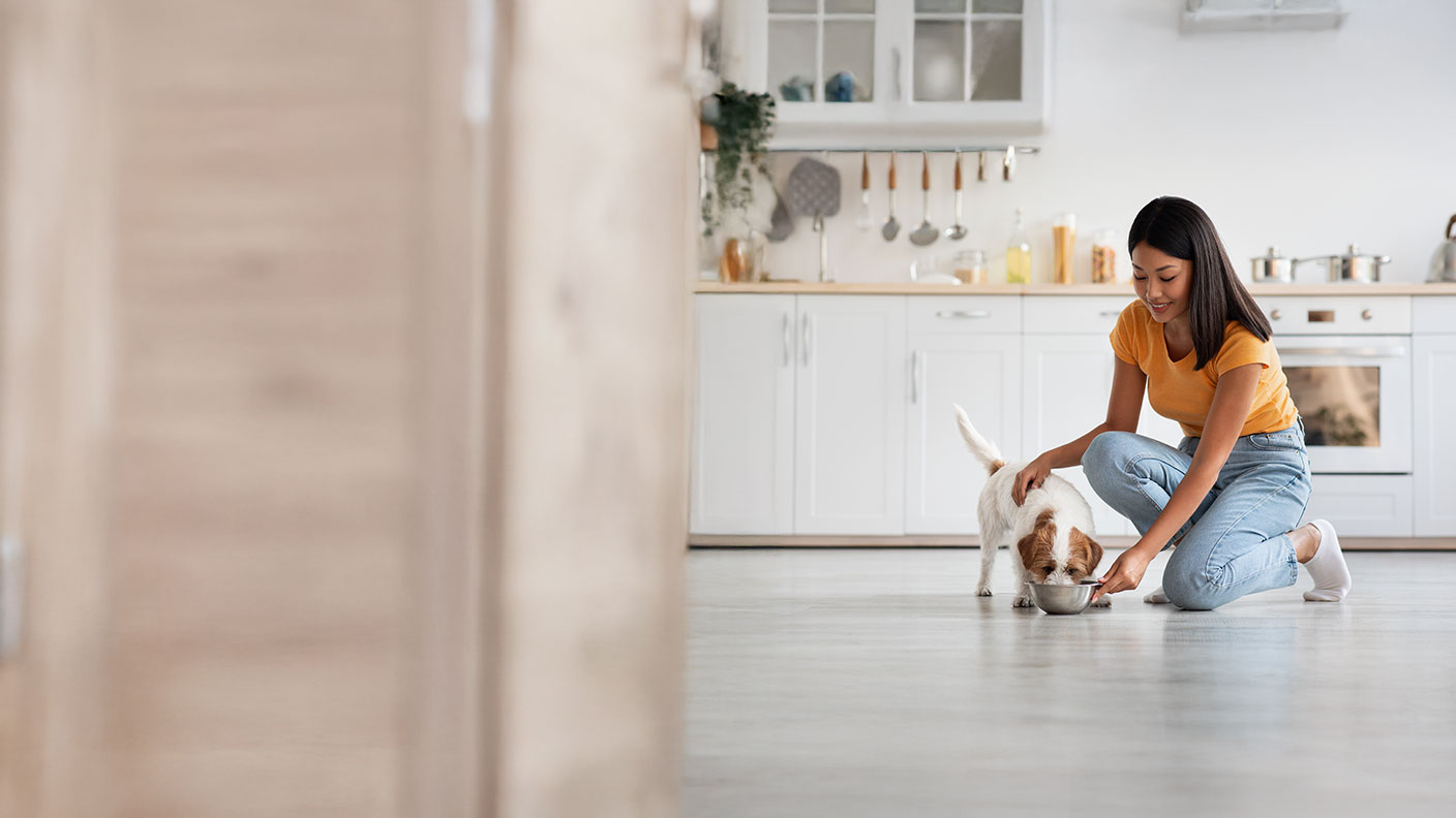 A guide to what dogs can and can’t eat 